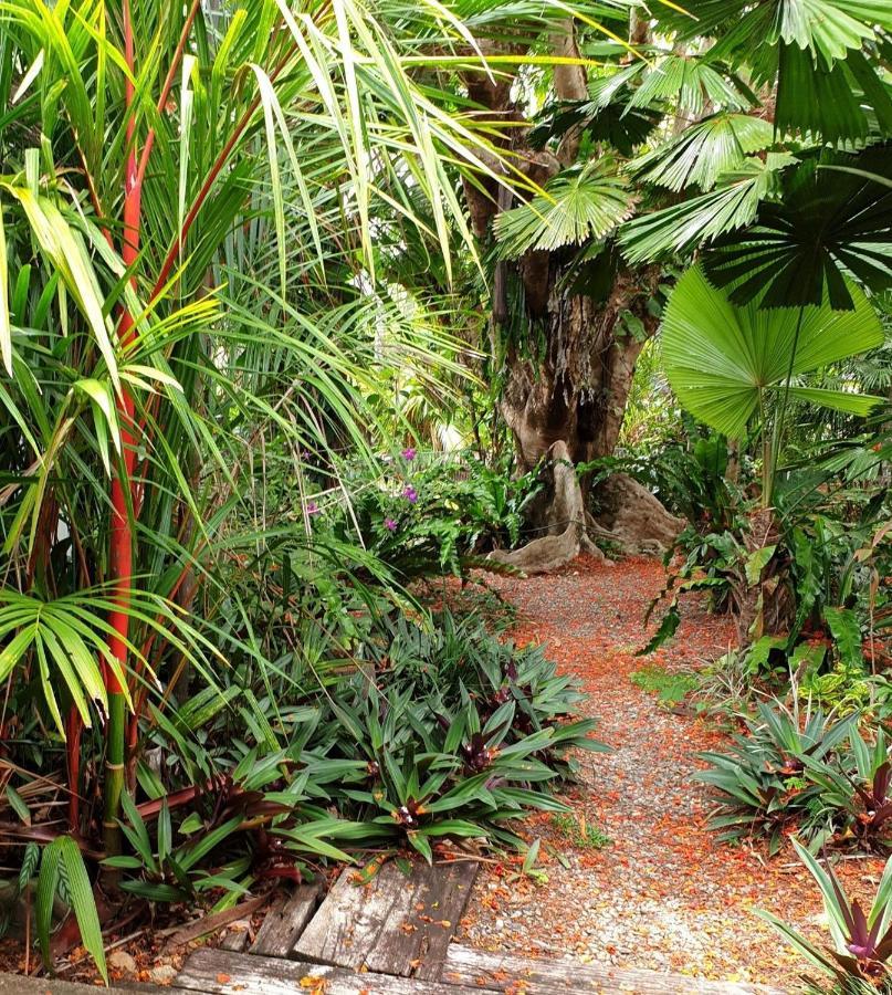 Rainforest Castaways Resort And Spa ミッション・ビーチ エクステリア 写真