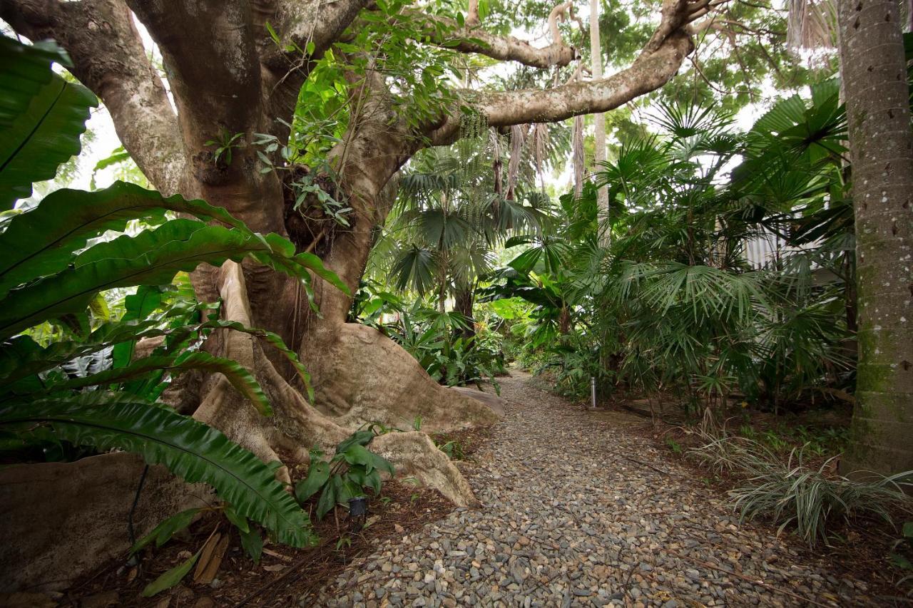 Rainforest Castaways Resort And Spa ミッション・ビーチ エクステリア 写真